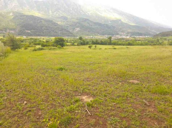 Permet, shitet toke bujqesore , 6.741 m² (Qilarisht,Përmet)