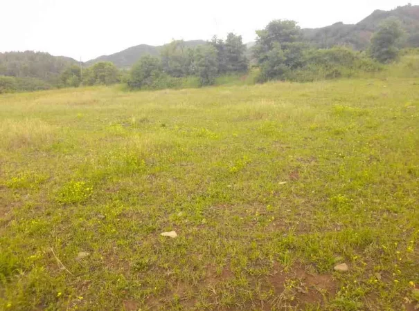 Permet, shitet toke bujqesore , 6.740 m² (Qilarisht,Përmet)