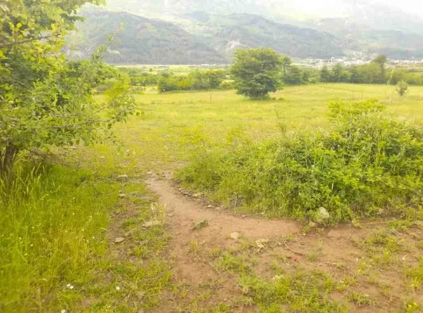 Permet, shitet toke bujqesore , 6.740 m² (Qilarisht,Përmet)