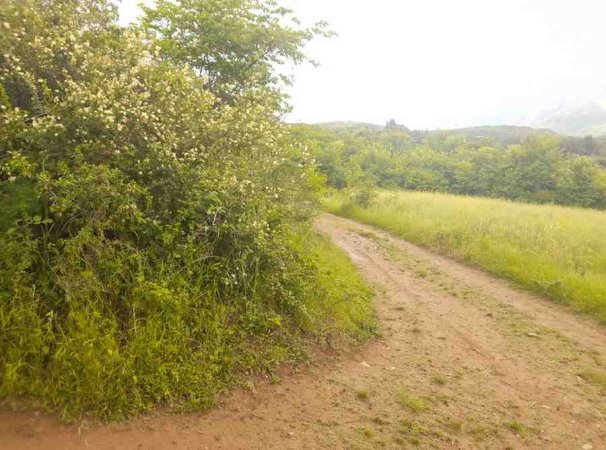 Permet, shitet toke bujqesore , 6.741 m² (Qilarisht,Përmet)