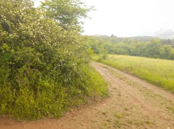 Permet, shitet toke bujqesore , 6.740 m² (Qilarisht,Përmet)