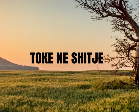 🔺️SHITET TOKE  NE FUSHE KRUJE🔺️