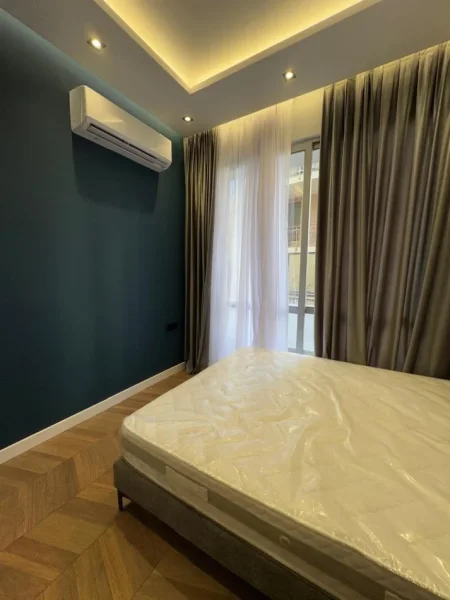 Tirane, jepet me qera 1+1 Kati 5, 65 m² 530 € (liqeni i thate)