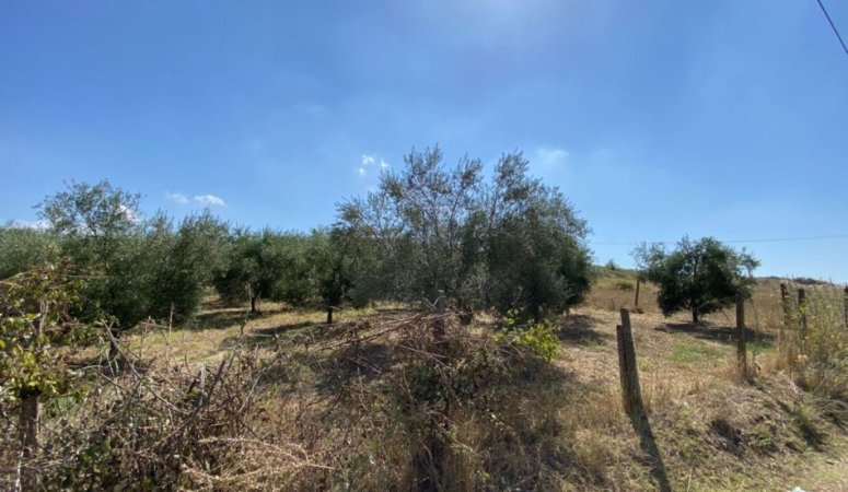 Kavaje, shitet toke , 7.100 m² 67.000 € (Kryeluzaj,Kavaje)