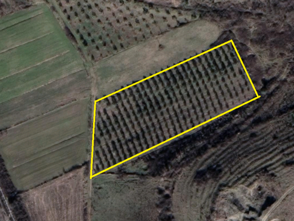 Kavaje, shitet toke , 7.100 m² 67.000 € (Kryeluzaj,Kavaje)