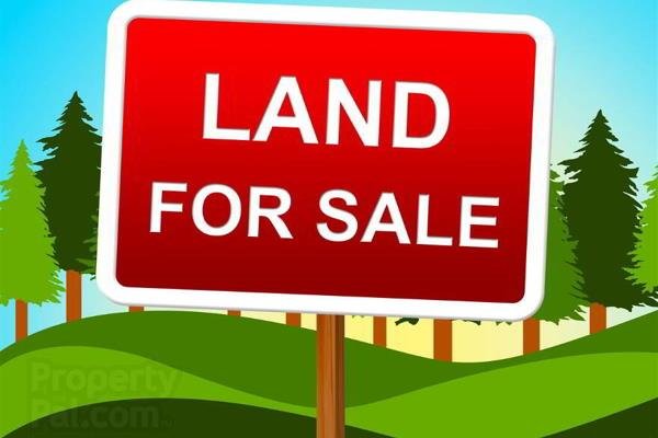 Tirane, shitet toke , 36.000 m² 180.000 € (Laknas)