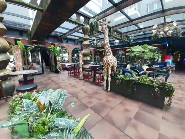 Tirane, shitet ambjent biznesi Kati 0, 1.200 m² (Astir)