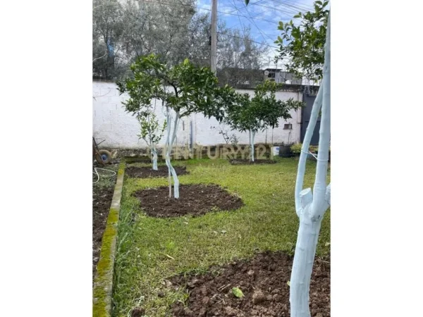 Tirane, shitet apartament Kati 2, 109 m² 