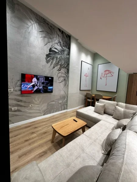 Tirane, shitet 1+1 Kati 0, 55 m² 115.000 € (Pallati me Shigjeta)