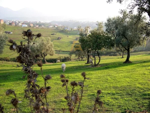 Tirane, shitet toke , 10.500 m² 1.260.000 € (Farke e Vogel)