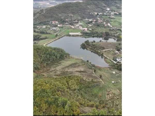 Tirane, shitet toke , 1.850 m² 92.500 € (Prane Liqenit te Sharres)