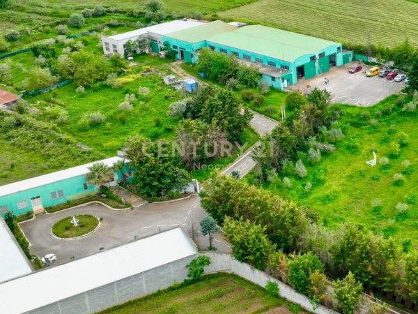 Fier, shitet ambjent biznesi Kati 0, 13.000 m² 590.000 € (Neom115179)
