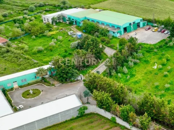 Fier, shitet ambjent biznesi Kati 0, 13.000 m² 590.000 € (Neom115179)