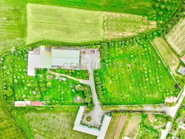 Fier, shitet ambjent biznesi Kati 0, 13.000 m² 590.000 € (Neom115179)