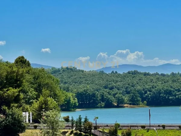 Tirane, shitet ambjent biznesi Kati 0, 114 m² 790.000 € (Neom115191)