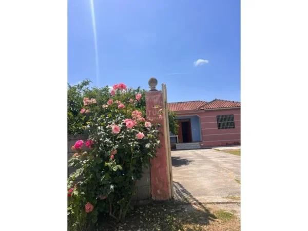 Tirane, shitet shtepi Kati 1, 100 m² 80.000 € 