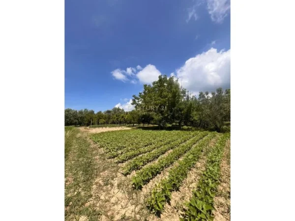 Tirane, shitet shtepi Kati 1, 100 m² 80.000 € 