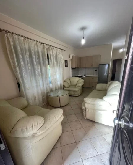 Tirane, jap me qera apartament 1+1 Kati 1, 55 m² 350 € (rruga david selenica)