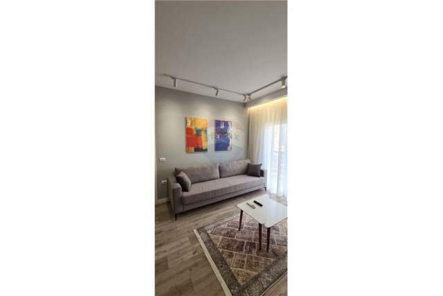 Tirane, jepet me qera apartament 2+1+BLK 120 m² 750 Euro (rruga e dibres)