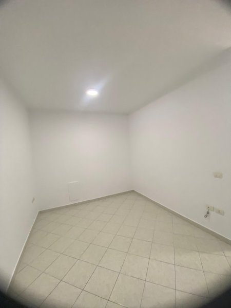2f9eadd8-fb83-4d8c-8e39-1997a54ca0b1.jpg