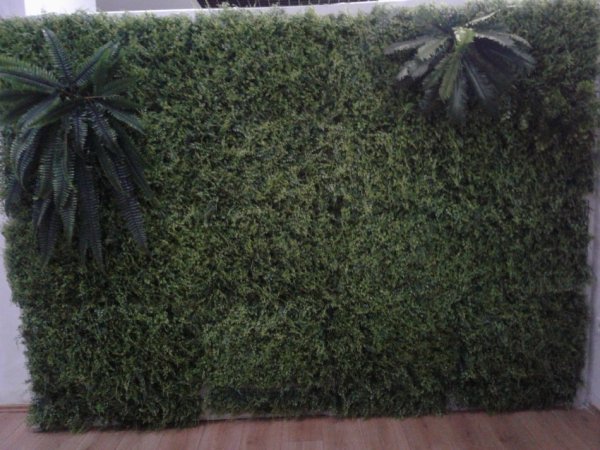 Tirane, shes Shes mur gjethesh dekorative 95 €