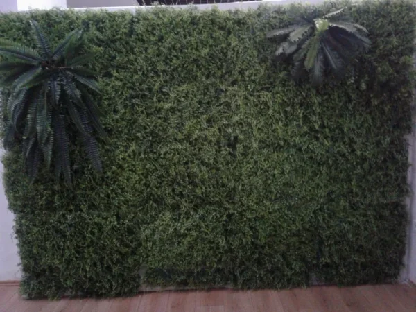 Tirane, shes Shes mur gjethesh dekorative 95 €