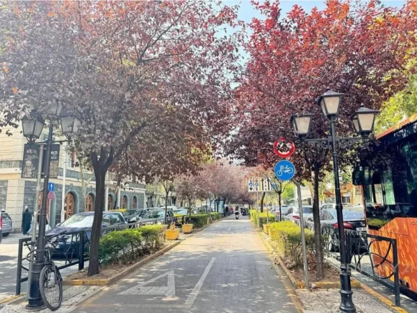 Tirane, shes ambjent biznesi , 265 m² 2.365.000 € (Rruga e Kavajës)