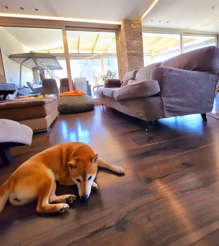 Tirane, shitet apartament 2+1 , 200 m² 498.000 € (Ambasada amerikane)