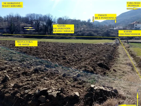 Shitet Toke, në Ibën e Poshtme, 500m nga aksi rrugës nacionale Tiranë-Elbasan, 17-km nga Tirana, Sipërfaqe 4'700m², Çmimi 85€/m2, nga Resort Teater Kame, 1.5-km dhe nga Shtegu i Shpellës së Pëllumbasit / Gryka Skorantës 5-km. Tiranë