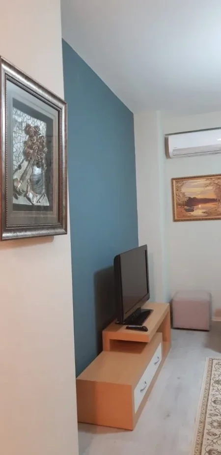 Tirane, jap me qera apartament 1+1+Ballkon Kati 2, 64 m² 500 € (21 Dhjetori)