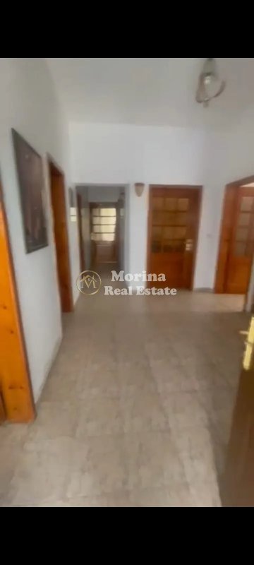 morina (2).jpg