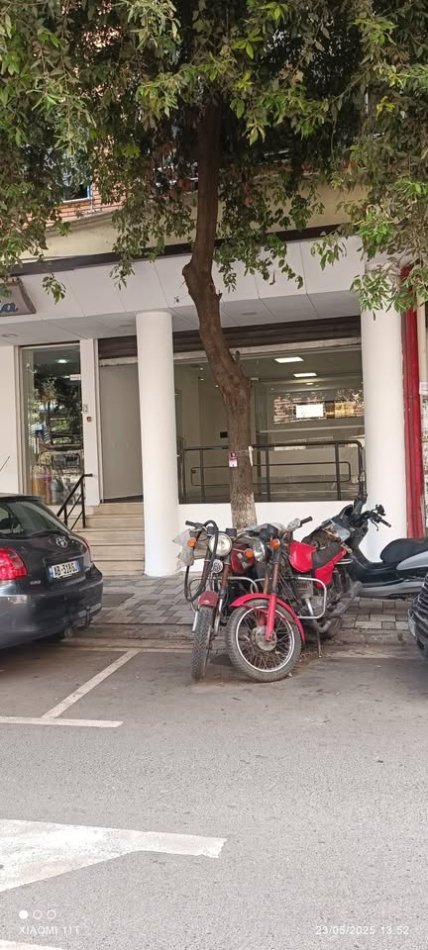 494353962_10230984028678436_2048762241456861690_n DYQA.jpg