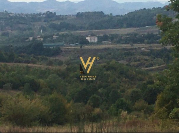 Tirane, shitet Toke, 5.500 m² 275.000 € (GURRE)