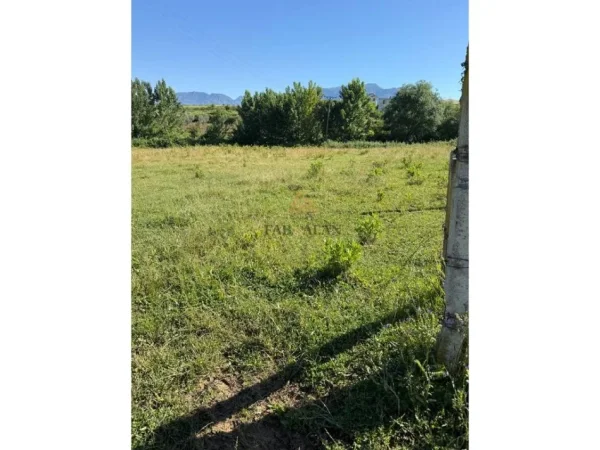 Tirane, shitet toke , 1.000 m² 30.000 € (Cerkeze, Zall Herr)