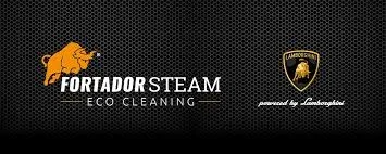 Tirane, - pastrim i automjeteve me avull