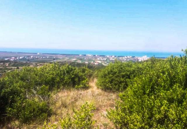 Durres, shes toke 6.200 m² 70.000 Euro