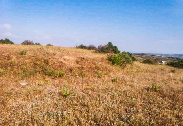 Durres, shes toke 6.200 m² 70.000 Euro