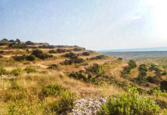 Durres, shes toke 6.200 m² 70.000 Euro