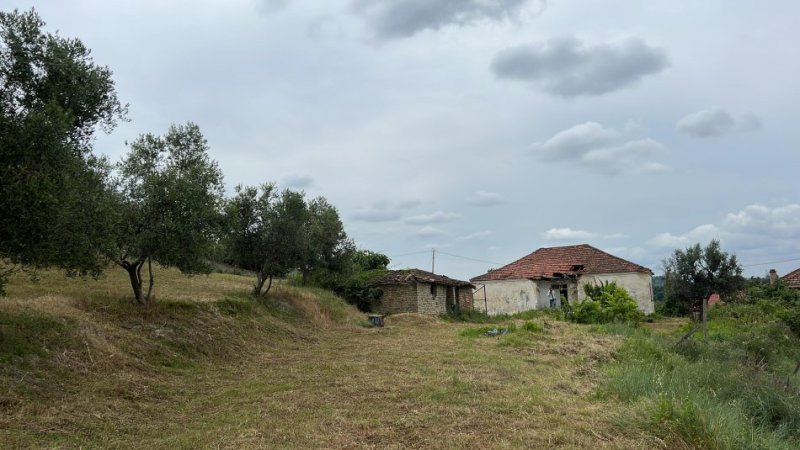 Durres, shitet shtepi 2+1+Ballkon Kati 1, 2.800 m² 100.000 € (Rruga e Shilores - Maminas)