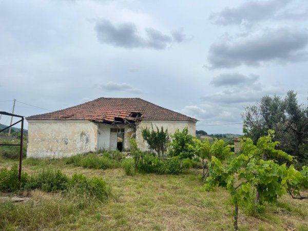 Durres, shitet shtepi 2+1+Ballkon Kati 1, 2.800 m² 100.000 € (Rruga e Shilores - Maminas)