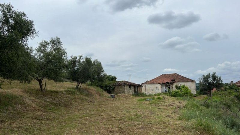 Durres, shitet shtepi 2+1+Ballkon Kati 1, 2.800 m² 100.000 € (Rruga e Shilores - Maminas)