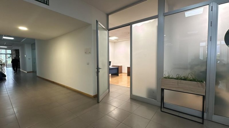 Tirane, jepet me qera zyre Kati 1, 30 m² 800 € (QENDER)