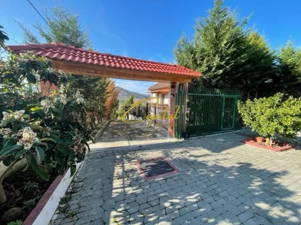 Tirane, shitet Vile 2+1 Kati 2, 400 m² 350.000 € (PEZA)