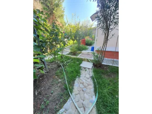 Tirane, shitet Vile 2 Katshe Kati 0, 600 m² 350.000 € (Peze e Vogel)