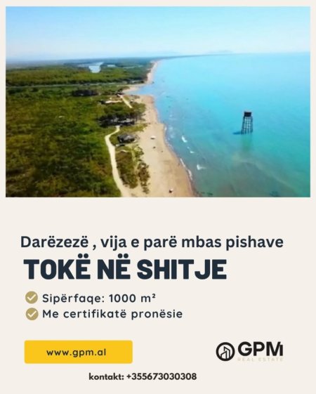 Fier, shitet toke , 1.000 m² (Darzeze)