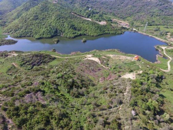 Tirane, shes truall 10.000 m² 450.000  (Rruga Reparti)