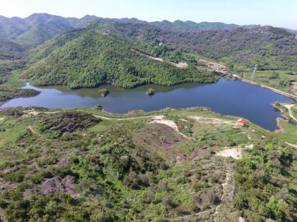 Tirane, shes truall 10.000 m² 450.000  (Rruga Reparti)