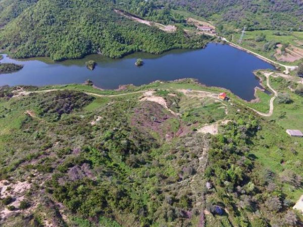 Tirane, shes truall 10.000 m² 450.000  (Rruga Reparti)