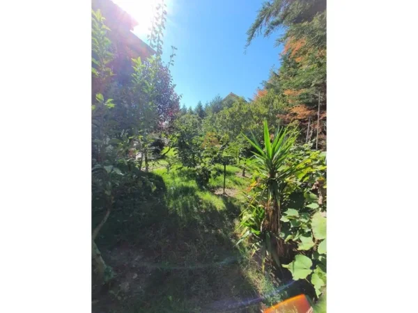 Tirane, shitet Vile 3 Katshe , 400 m² 350.000 € (Peze e Vogel)