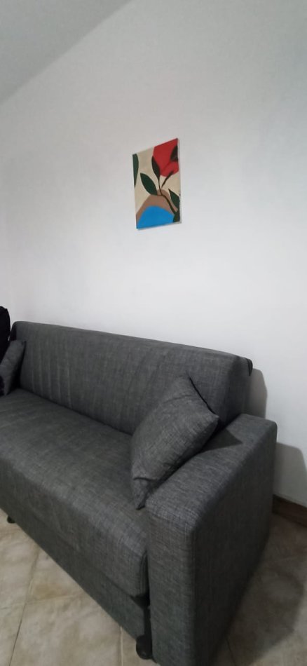Tirane, jepet me qera apartament 1+1 Kati 0, 45 m² 350 € (Muhamet Gjollesha)